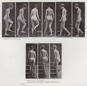 Figura ludzka w ruchu: wybrane fazy z serii 41 (zdjęcie czarno-białe) autorstwa Eadweard Muybridge