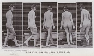 Figura ludzka w ruchu: wybrane fazy z serii 43 (zdjęcie czarno-białe) autorstwa Eadweard Muybridge