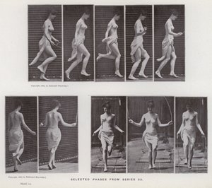 Figura ludzka w ruchu: wybrane fazy z serii 53 (zdjęcie czarno-białe) autorstwa Eadweard Muybridge
