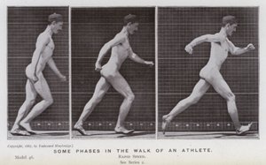 Postać ludzka w ruchu: niektóre etapy chodu sportowca (zdjęcie czarno-białe) autorstwa Eadweard Muybridge