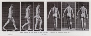 Postać ludzka w ruchu: Niektóre etapy chodu sportowca niosącego 50-funtowy hantle (zdjęcie czarno-białe) autorstwa Eadweard Muybridge