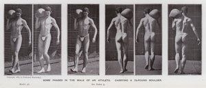 Postać ludzka w ruchu: Niektóre etapy chodu sportowca niosącego 75-funtowy głaz (zdjęcie czarno-białe) autorstwa Eadweard Muybridge