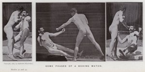 Postać ludzka w ruchu: niektóre fazy meczu bokserskiego (zdjęcie czarno-białe) autorstwa Eadweard Muybridge
