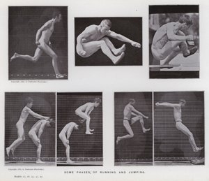 Postać ludzka w ruchu: niektóre fazy biegania i skakania (zdjęcie czarno-białe) autorstwa Eadweard Muybridge