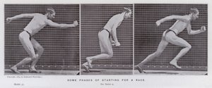 Figura ludzka w ruchu: niektóre fazy startu wyścigu (zdjęcie czarno-białe) autorstwa Eadweard Muybridge
