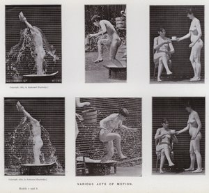 Postać ludzka w ruchu: różne akty ruchu (zdjęcie czarno-białe) autorstwa Eadweard Muybridge