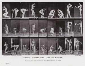 Figura ludzka w ruchu: różne niezależne akty ruchu (zdjęcie czarno-białe) autorstwa Eadweard Muybridge