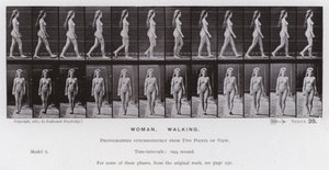 Postać ludzka w ruchu: kobieta, chodzenie (zdjęcie czarno-białe) autorstwa Eadweard Muybridge