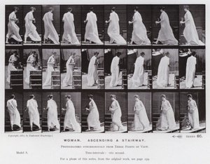 Postać ludzka w ruchu: Kobieta, wchodząc po schodach (zdjęcie czarno-białe) autorstwa Eadweard Muybridge