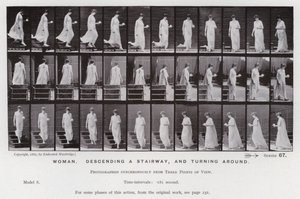 Postać ludzka w ruchu: kobieta schodząca po schodach i odwracająca się (zdjęcie czarno-białe) autorstwa Eadweard Muybridge