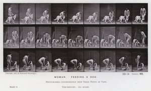 Postać ludzka w ruchu: kobieta karmiąca psa (zdjęcie czarno-białe) autorstwa Eadweard Muybridge