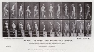Postać ludzka w ruchu: kobieta, skręcanie i wchodzenie po schodach (zdjęcie czarno-białe) autorstwa Eadweard Muybridge