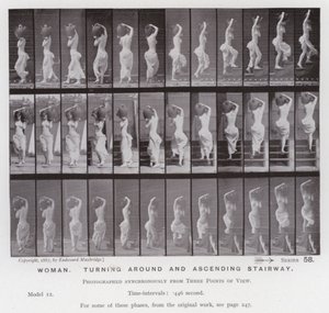 Postać ludzka w ruchu: kobieta, odwracająca się i wchodząca po schodach (zdjęcie czarno-białe) autorstwa Eadweard Muybridge