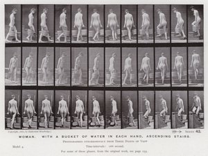 Postać ludzka w ruchu: Kobieta z wiadrem wody w każdej ręce, wchodząca po schodach autorstwa Eadweard Muybridge