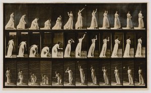 Kobieta podnosząca piłkę i rzucająca nią, z książki Animal Locomotion autorstwa Eadweard Muybridge