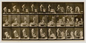 Kobieta wylewająca miskę wody na głowę innej kobiety, z książki Animal Locomotion autorstwa Eadweard Muybridge