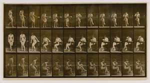 Kobieta siedząca, skrzyżowane nogi, pijąca z filiżanki, z książki Animal Locomotion autorstwa Eadweard Muybridge