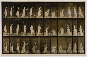 Kobieta wyrzucająca chusteczkę w powietrze i podnosząca ją, z książki Animal Locomotion autorstwa Eadweard Muybridge