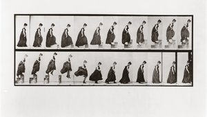 Kobieta wchodząca po schodach i skacząca w dół, płyta 173 z lokomocji zwierzęcej, 1887 autorstwa Eadweard Muybridge