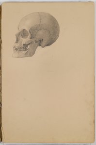Anatomia Sketch Book, 1849 (szkicownik zawierający rysunki w kolorze grafitowym)