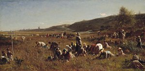Żurawina. Wyspa Nantucket, 1880 autorstwa Eastman Johnson
