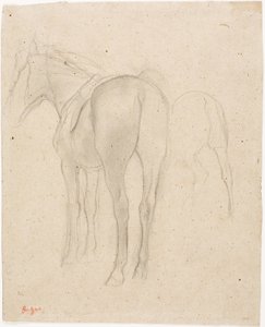 Studia nad koniem autorstwa Edgar Degas