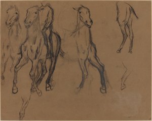 Studium koni, ok. 1886 (węgiel drzewny i grafit na papierze brązowym) autorstwa Edgar Degas