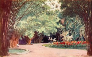 Bambusowy Gaj, Ogrody Botaniczne (kolor lito)