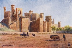 Północna Hiszpania: Olite, The Castle (kolor lito) autorstwa Edgar T. A. Wigram