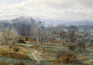 Hampstead Heath patrząc w stronę brony na wzgórzu, ok. 1880 (wc na papierze) autorstwa Edith Martineau
