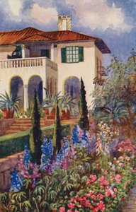 Zakątek ogrodu w Villa Arcadia, Johannesburg (kolor lito) autorstwa Edith Struben