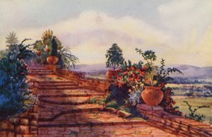 The Steps at Government House, Pretoria (kolor lito) autorstwa Edith Struben