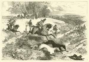 Hare coursing w Anglii (grafika)