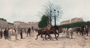 Targ koni w Paryżu (fotograwiura kolorowa)