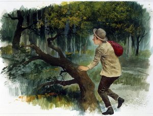 Literatura dziecięca: od Apeninów po Andy. Młody chłopak sam w lesie (rysunek)