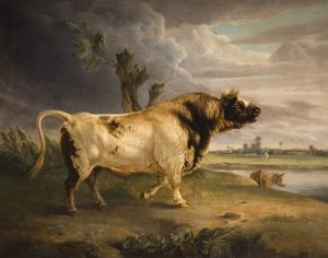 Nagroda Bull