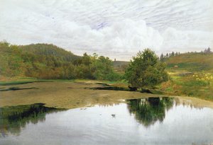 Basen, 1860 (toaleta i długopis i atrament na papierze)