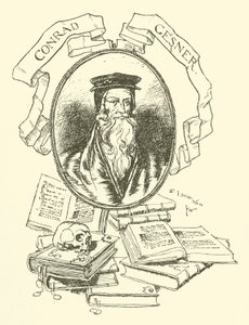 Conrad Gesner autorstwa Edmund Joseph after Sullivan