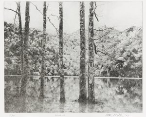 Toki-Noko, 1992