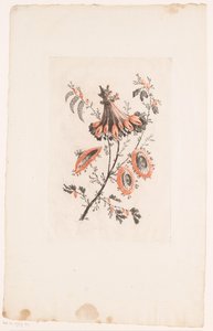 Kwiaty w kształcie parasola Fleurs Idealle (tytuł serii) autorstwa Edouard Gautier Dagoty