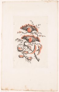 Kwiaty w kształcie wachlarza Fleurs Idealle (tytuł serii) autorstwa Edouard Gautier Dagoty