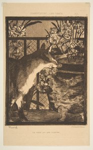 Kot i kwiaty. Ilustracja do The Cats autorstwa Champfleury, 1869. autorstwa Édouard Manet