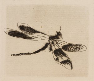 Dragonfly, płyta 1 z The River autorstwa Édouard Manet