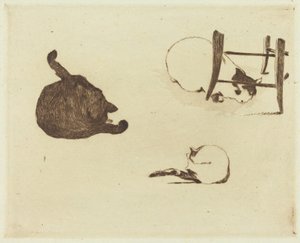 Koty (Les czaty) autorstwa Édouard Manet