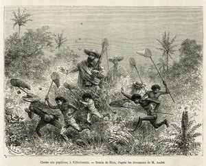 Grupa dzieci polowała na motyle, której towarzyszył autor, Villavicensio (Kolumbia), rysunek autorstwa Riou, ilustrujący historię Equinoxiale America (Kolumbia, Ekwador, Peru), w latach 1875-1876, autorstwa Ed. andre, podróżnik odpowiedzialny za misję prze autorstwa Edouard Riou