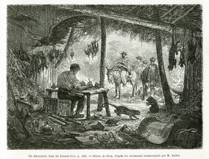 Laboratorium taksydermii w dziewiczym lesie w regionie Llanos (Kolumbia), rysunek Riou, ilustrujący historię Equinoxiale America (Kolumbia, Ekwador, Peru), w latach 1875-1876, autorstwa Ed. Andre, za misję podróżniczą od rządu francuskiego. Engra autorstwa Edouard Riou