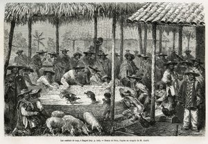 Walki kogutów i animacja uliczna w Ibague (Kolumbia), rysunek Riou, ilustrujący historię Equinoxiale America (Kolumbia, Ekwador, Peru), w latach 1875-1876, autorstwa Ed. Andre, opłata misyjna podróżnika przez rząd francuski. Grawerowanie w Le tour du monde autorstwa Edouard Riou
