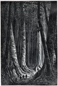 Las Gujany Francuskiej, rys. Riou, „Le Tour du Monde”, sem. 1879.