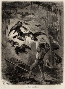 Polowanie na sowy schronione w kościele Sarayacu (Peru), rysunek Riou, ilustrujący podróż Paula Marcoya z Oceanu Spokojnego do Oceanu Atlantyckiego w latach 1848-1860. Rycina w „Le tour du monde” pod redakcją Edouarda Chartona