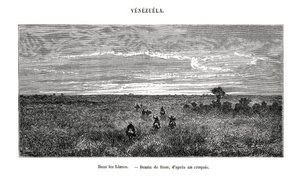 Los Llanos, Wenezuela, XIX w. autorstwa Edouard Riou